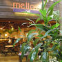 奈良「mellow cafe」