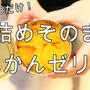 みかんの缶詰めとゼラチンだけで作れちゃう！超簡単！みかんゼリー