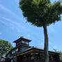 京都　旧三井家下鴨別邸と紫陽花園