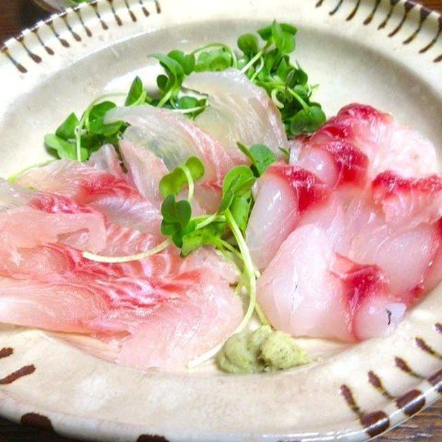 タカノハダイ、メジナ刺盛