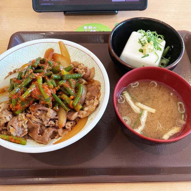 ニンニクの芽牛丼中盛冷やっこセットを今年も食べたさ 〜すき家〜