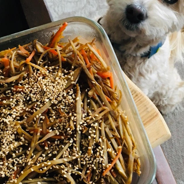 泥ごぼうと泥にんじんのきんぴら
