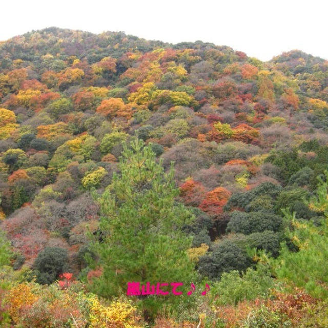京都嵐山へ♪♪
