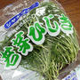 初「おかひじき」・王将の餃子・財布・体重計