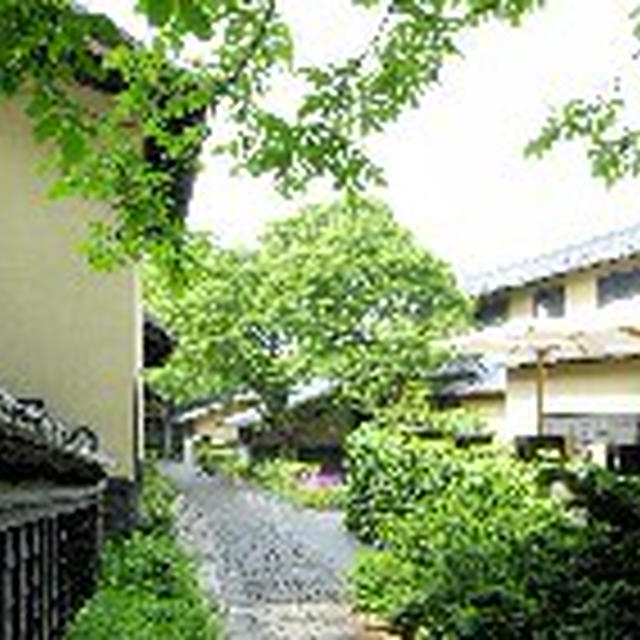 おそらく動きの少ない夏休み・・・・・