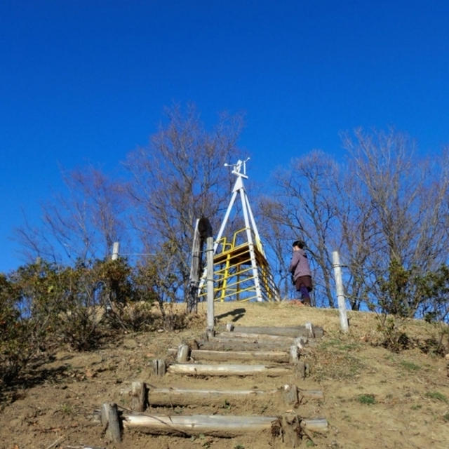 《１月８日王様のブランチ見て下さ～い！》「七沢森林公園散策」と「野鳥さん」