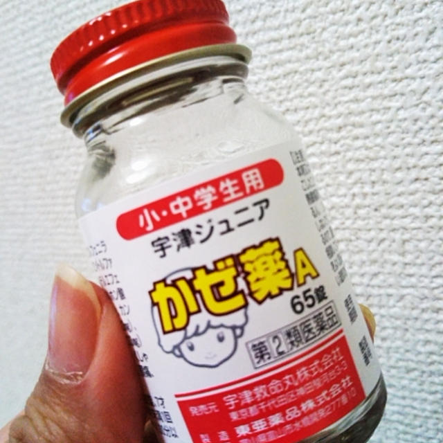 今日から平常運転☆インフルエンザ大流行で幼稚園休園