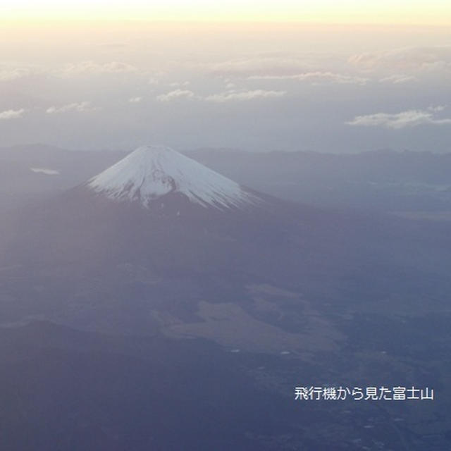 我が家のゴールデンウィーク2011