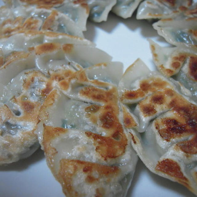 焼でも鍋でも♪スタミナ「鳥」餃子！