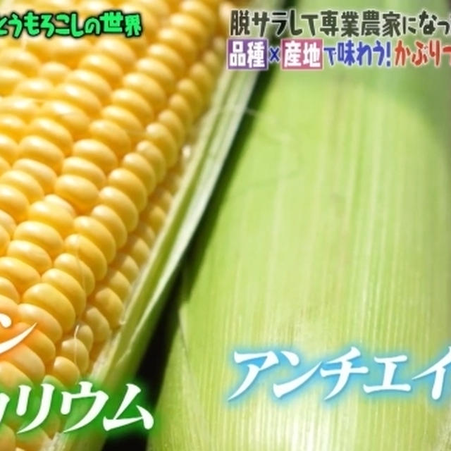 TBSテレビ「マツコの知らない世界」とうもろこしに関する栄養監修