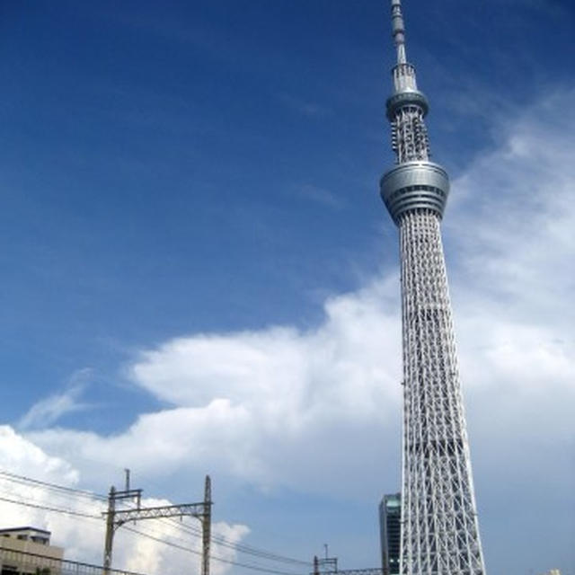東京行きご賛同頂ける方貯金箱プレゼントします！
