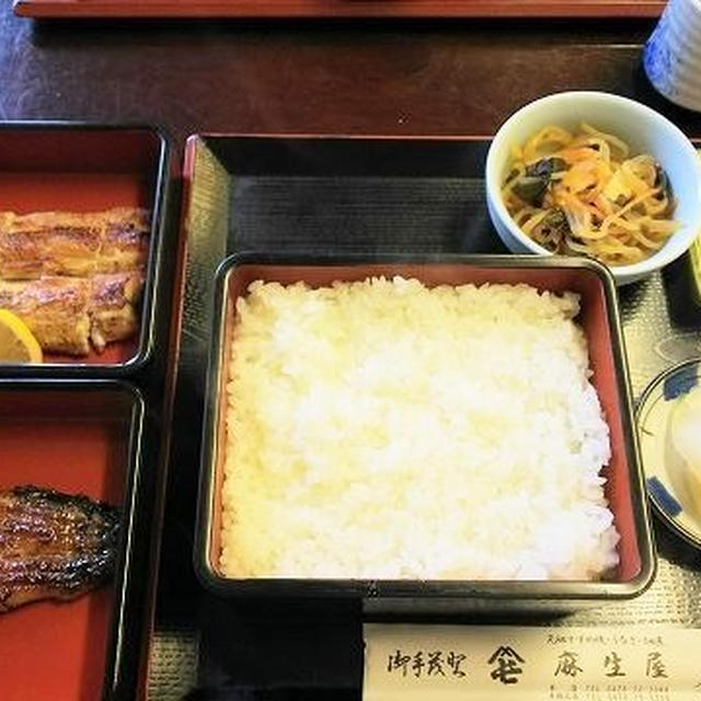 上鰻の白焼きと蒲焼　　