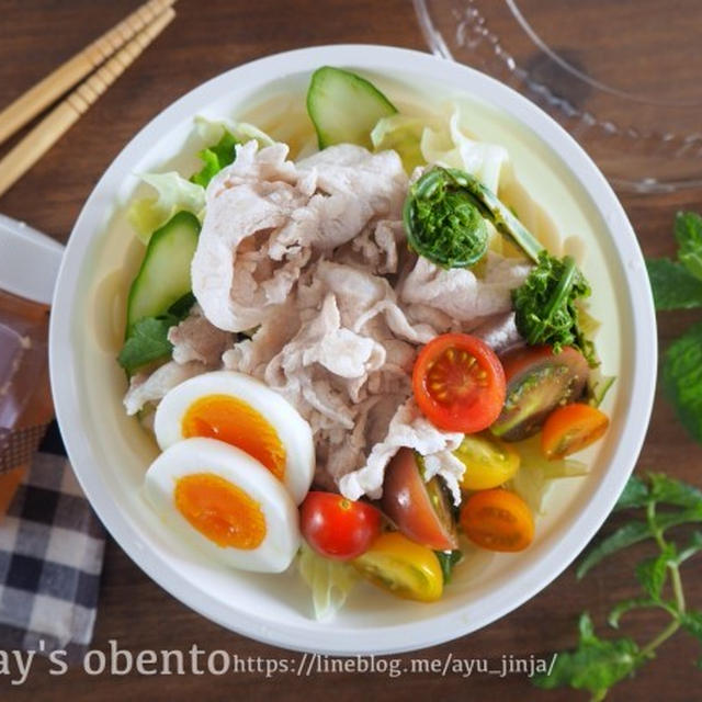 丼弁当、麺弁当にピッタリ！お気に入りの100均簡易パック♩