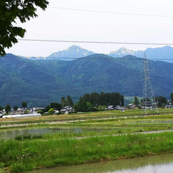 お子守始まる