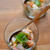 ★recipe★　Ceviche med kamskjell & laks（ホタテと鮭のセビーチェ風）