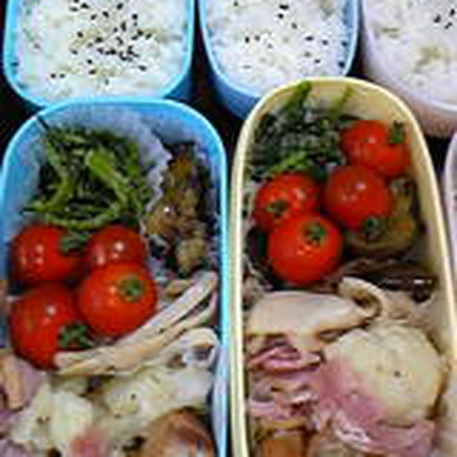 ６月１０日のお弁当