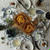 Today’s Breakfast Table-September 10, 2014-