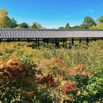 お寺めぐり　東福寺