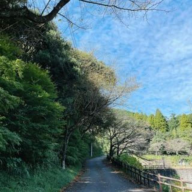 冒険心を取り戻せっ（笑）♡　～土器山（かわらけ山）八天山（はってんさん）～