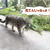 '25 六月の札幌 ～夏日の動物たち