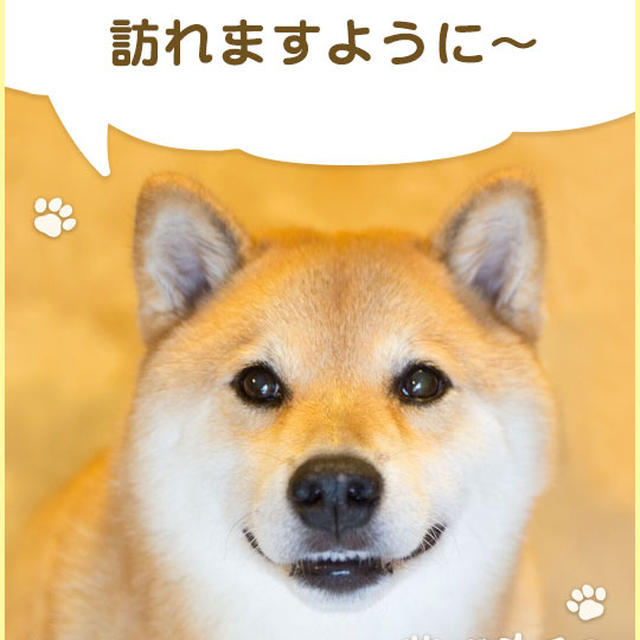 柴犬まるからの質問「幸せを感じる時って、どんな時？」