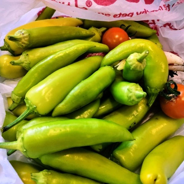 ビデオ解析のゴルフレッスン ～ ゴルフ家庭菜園の野菜は最高に美味しい