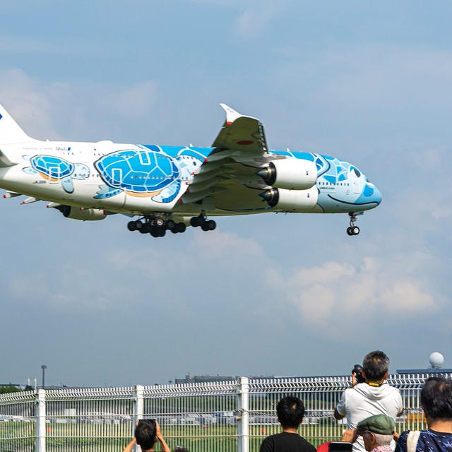 ANA A380 空飛ぶウミガメ