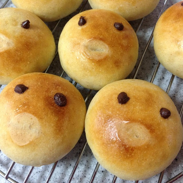 「お、お前達は何ものだ！？∑(ﾟДﾟ)」のパン♪