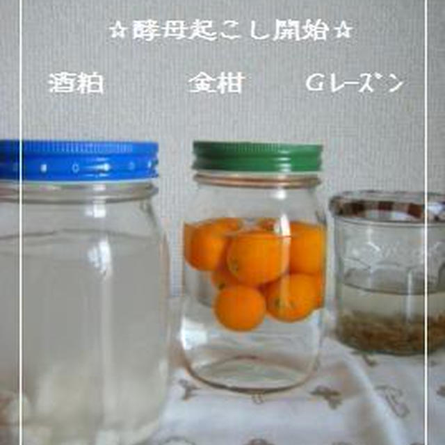 【動画】金柑酵母と酒粕酵母