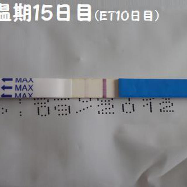 検査薬特集(∩∀`*)