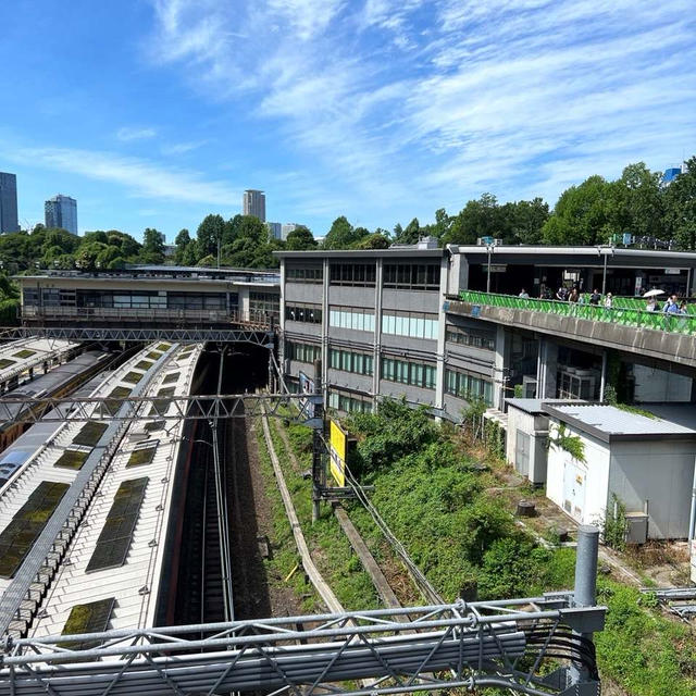 小4息子 初めて大学の門をくぐる