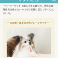 ウェブ掲載☆愛犬のおやつ事情とおすすめ手作り犬おやつレシピ