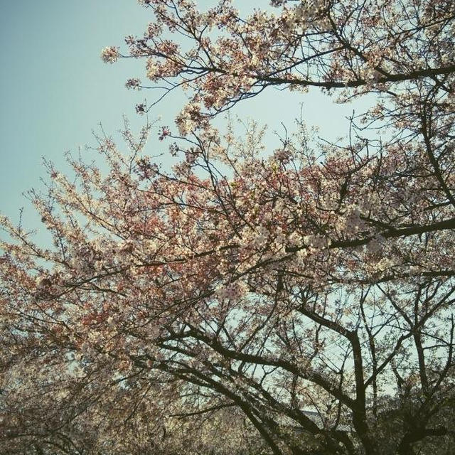 次男入学式♪