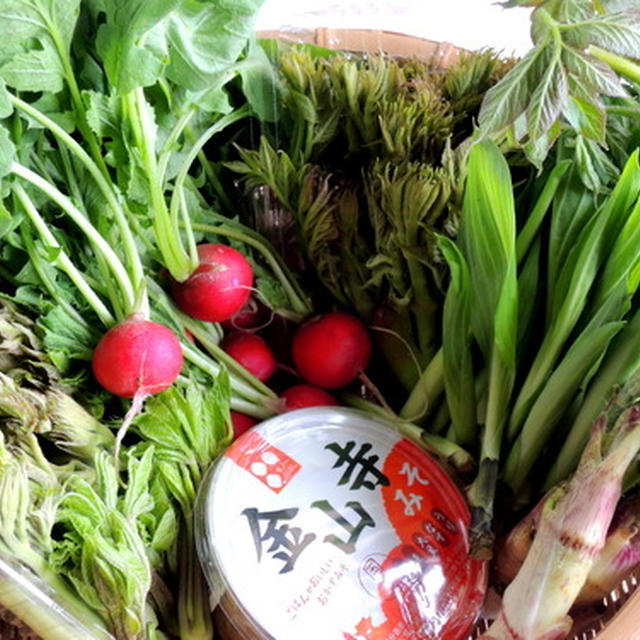 「山形の春の便り」が届きました～♡