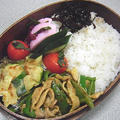 カレーチンジャオロース弁当。座布団を使うにゃんこ