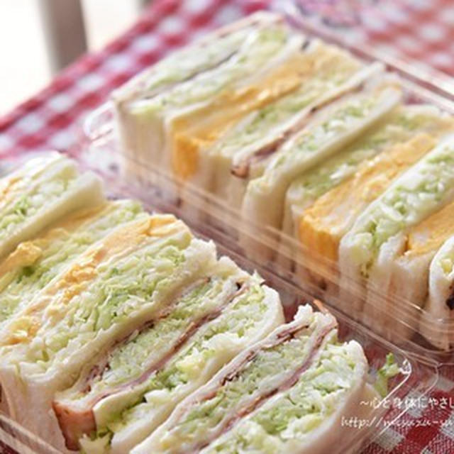 畑しごとのサンドイッチ弁当