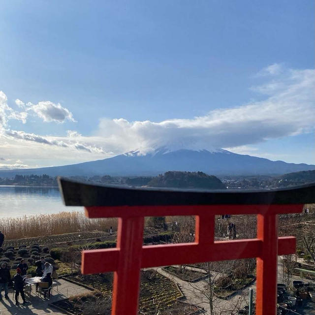 1月12日　富士山を見に！な、なんとか見えた