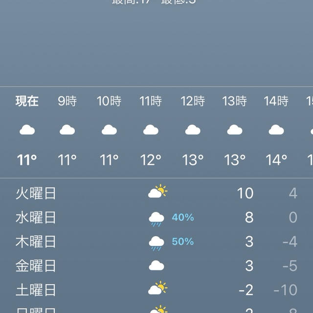 最低気温　－10℃の予報！意外に寒いテキサス