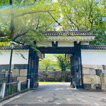 東京・北の丸公園の新緑が美しかった