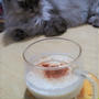 自家製甘酒始めました♡(=^・・^=)♪