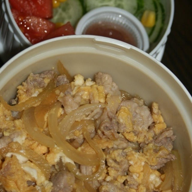 4月17日　　開化丼＆サラダランチ