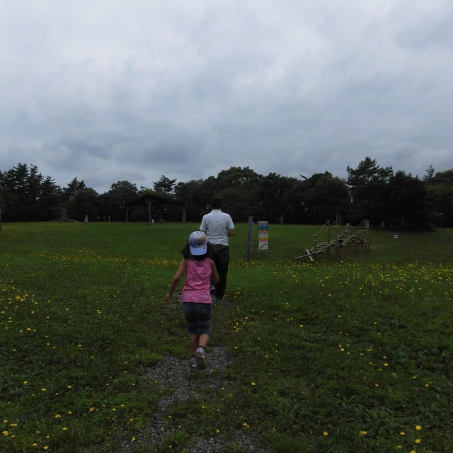 くもりときどき雨　きのこの白和え