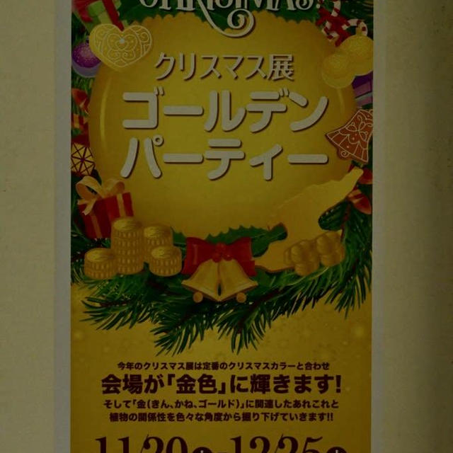 新潟県立植物園のクリルマス2024② 休んでいい。