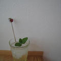 花梨スカッシュ