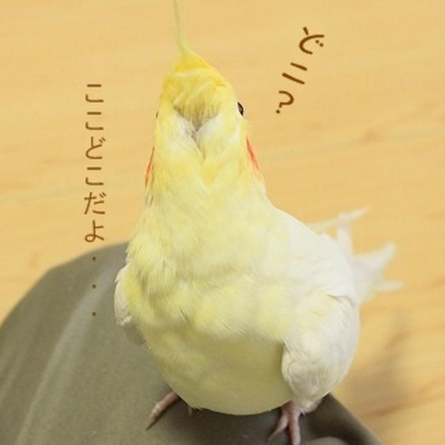 きららのきもち　　Episode．8