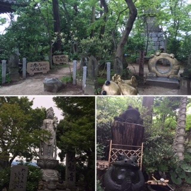 如意輪寺（かえる寺）に行ってきました。