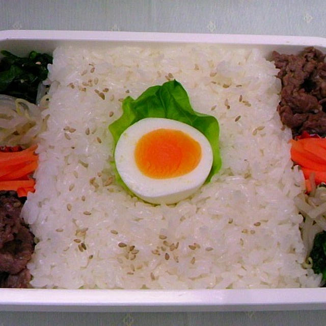 今日のお弁当　　第229号　～ビビンパ～