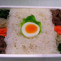 今日のお弁当　　第229号　～ビビンパ～