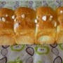 ２０１１年１０月の教室予定