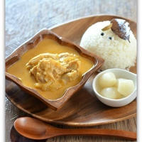 子供もおかわり！マイルドなスパイスチキンカレー